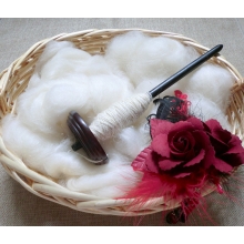 Suri Alpaca 31jan17suri.jpg