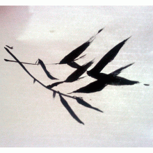 Bamboo Leaves in the Wind bamboo_wind.gif