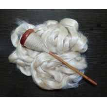 Spinning Muga Silk muga.jpg