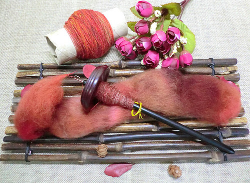 April2016spinning